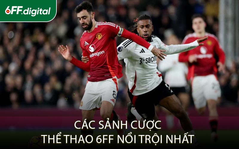 Các Sảnh Cược Thể Thao 6FF Nổi Trội Nhất