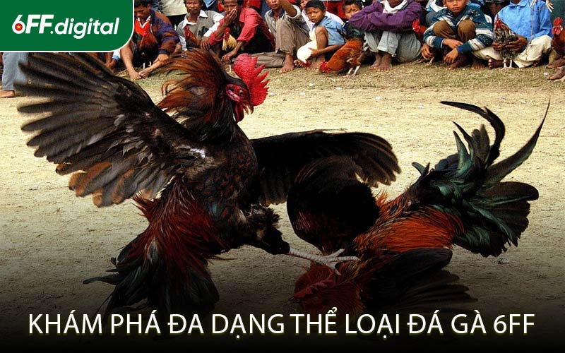 Khám Phá Đa Dạng Thể Loại Đá Gà 6FF