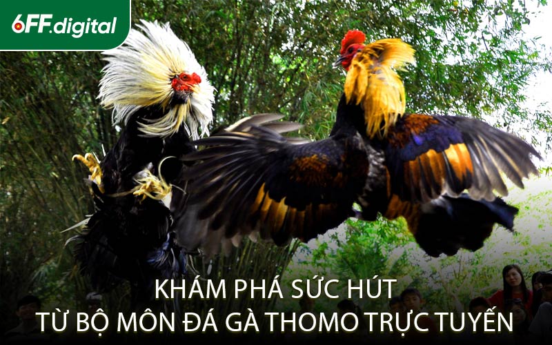Khám Phá Sức Hút Từ Bộ Môn Đá Gà Thomo Trực Tuyến